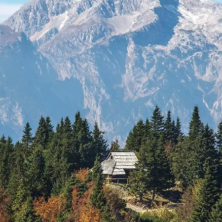 Koca Bistra - Velika Planina Stahovica