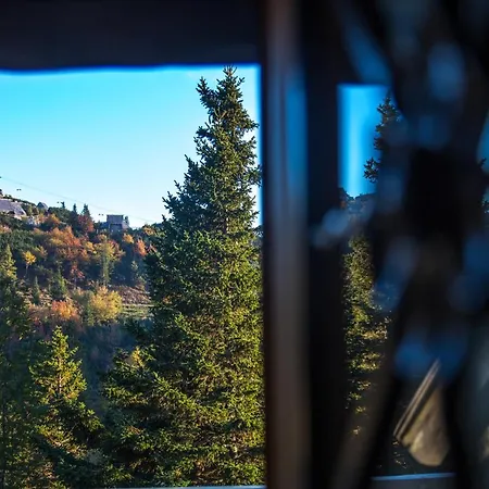 Koca Bistra - Velika Planina