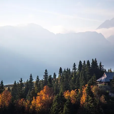 Koca Bistra - Velika Planina *