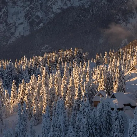 Koca Bistra - Velika Planina Chalet *