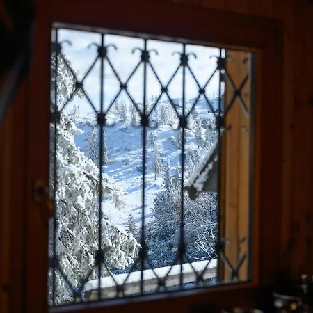 Koca Bistra - Velika Planina Chalet
