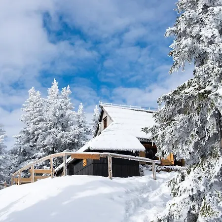Koca Bistra - Velika Planina * Stahovica