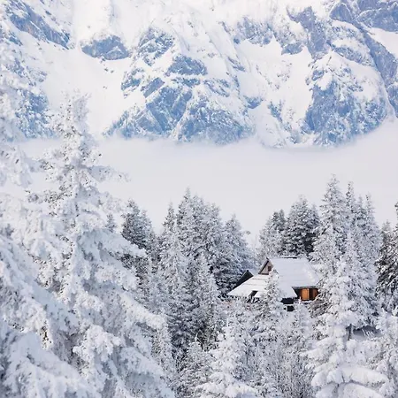 Chalet Koca Bistra - Velika Planina *