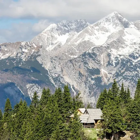 Koca Bistra - Velika Planina Chalet *