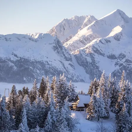 Chalet Koca Bistra - Velika Planina *