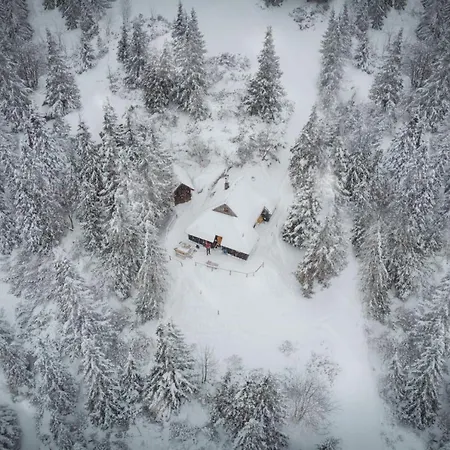 Chalet Koca Bistra - Velika Planina *