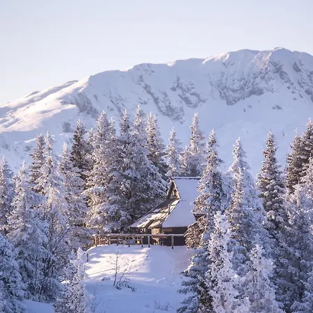 Koca Bistra - Velika Planina Chalet *