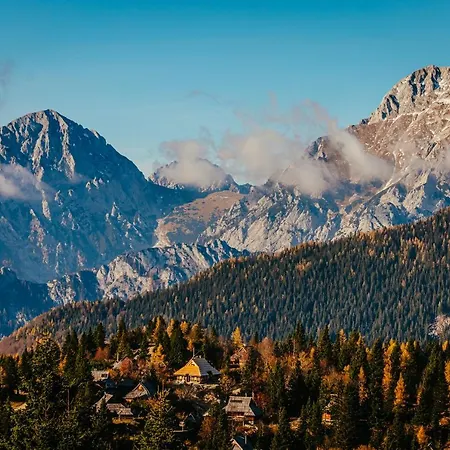Koca Bistra - Velika Planina