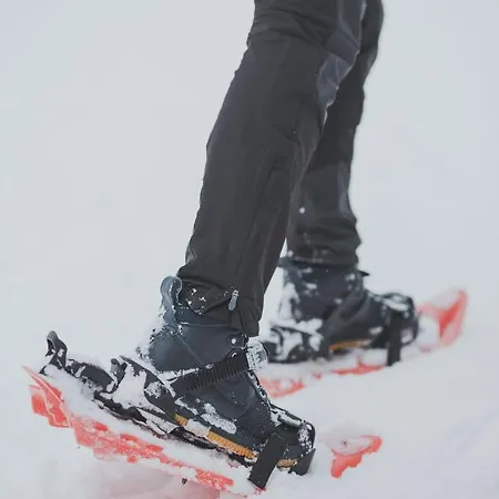 Шале Koca Bistra - Velika Planina Стаховица