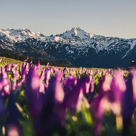 Chalet Koca Bistra - Velika Planina