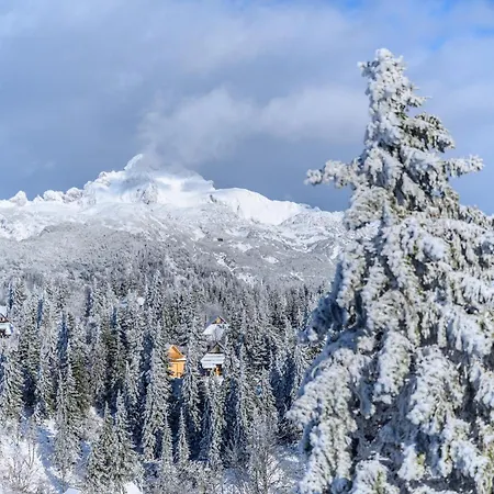 Koca Bistra - Velika Planina * Stahovica