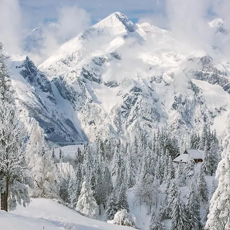 Koca Bistra - Velika Planina Chalet Stahovica