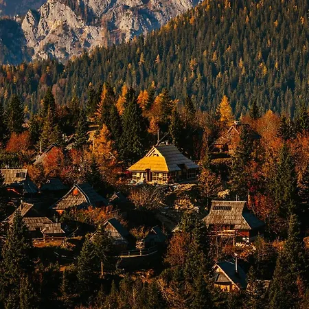 Chalet Koca Bistra - Velika Planina Stahovica