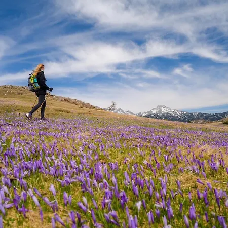 Chalet Koca Bistra - Velika Planina *