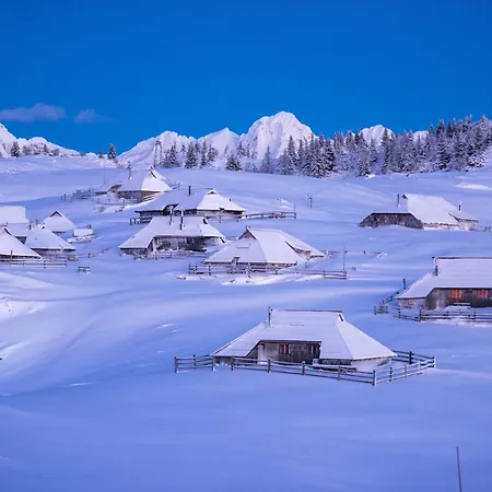 Koca Bistra - Velika Planina *