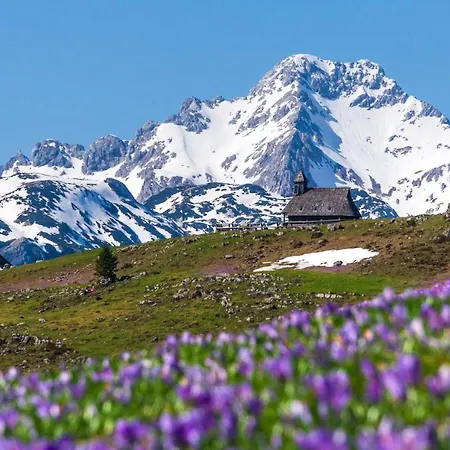 Koca Bistra - Velika Planina