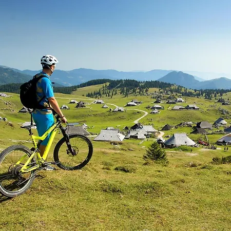 Koca Bistra - Velika Planina Stahovica