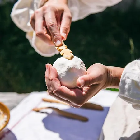 Koca Bistra - Velika Planina Chalet Stahovica