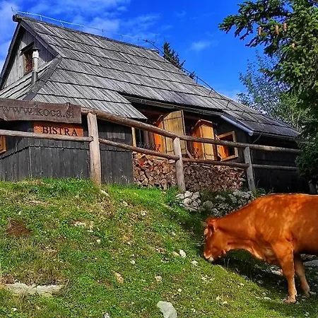 Chalet Koca Bistra - Velika Planina