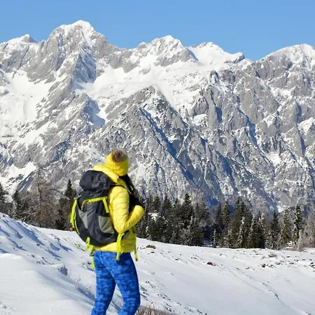 Koca Bistra - Velika Planina Chalet