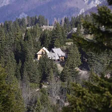 Koca Bistra - Velika Planina