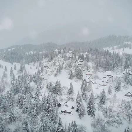 Koca Bistra - Velika Planina *