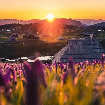 Koca Bistra - Velika Planina
