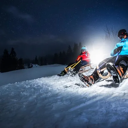 Koca Bistra - Velika Planina