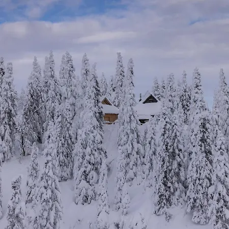 Koca Bistra - Velika Planina Stahovica