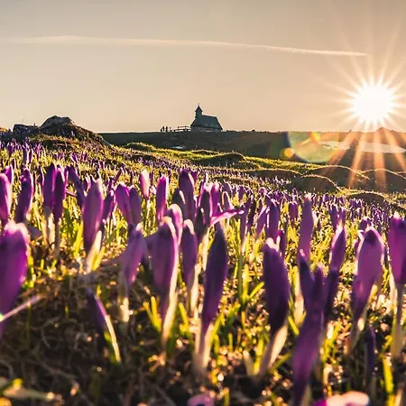 Chalet Koca Bistra - Velika Planina *