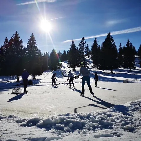 Koca Bistra - Velika Planina * Stahovica