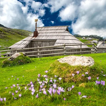 Chalet Koca Bistra - Velika Planina Stahovica