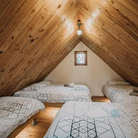 Chalet Koca Bistra - Velika Planina Stahovica