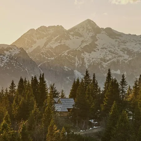 Koca Bistra - Velika Planina Chalet