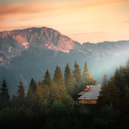 Koca Bistra - Velika Planina *