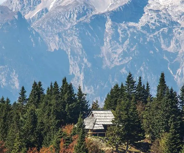 Koca Bistra - Velika Planina Stahovica