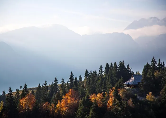 Koca Bistra - Velika Planina *