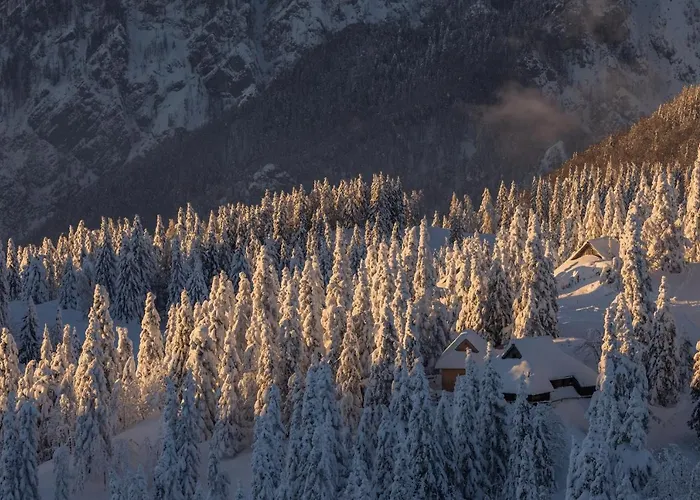 Koca Bistra - Velika Planina Horská chata *