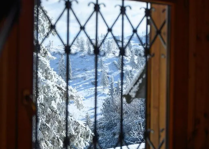 Koca Bistra - Velika Planina Σαλέ