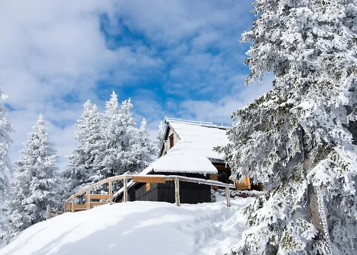 Koca Bistra - Velika Planina * Stahovica