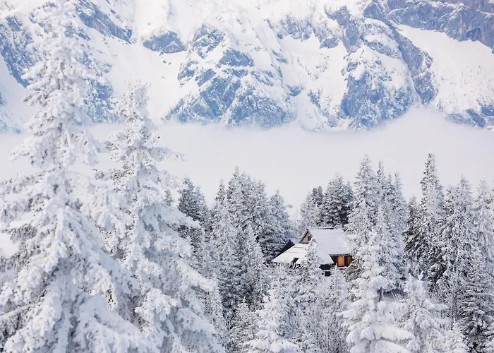 Σαλέ Koca Bistra - Velika Planina *