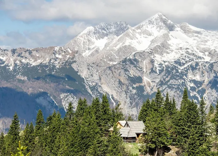 Koca Bistra - Velika Planina Σαλέ *