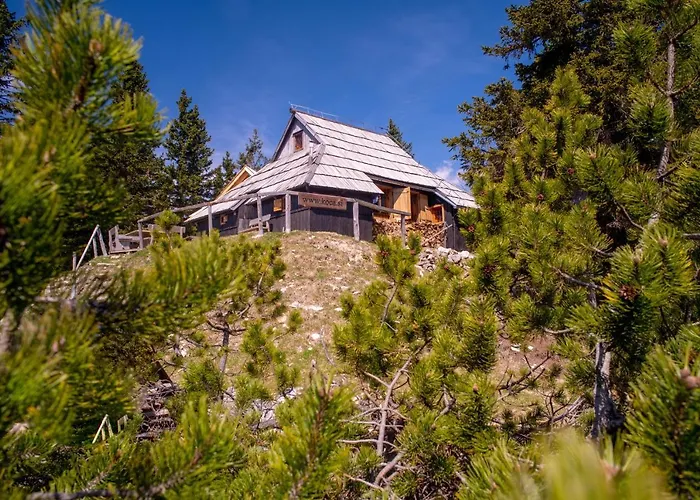 Koca Bistra - Velika Planina Σαλέ