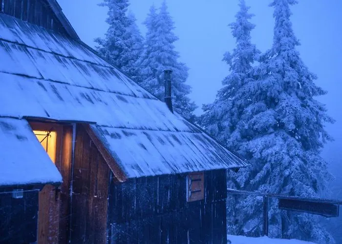 Koca Bistra - Velika Planina Horská chata *