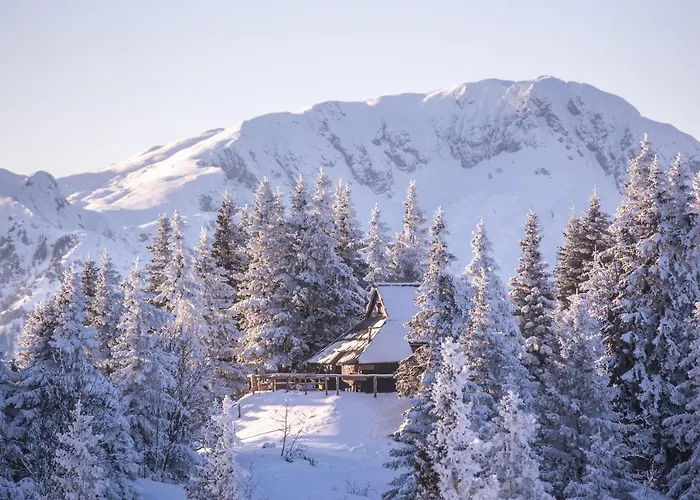 Koca Bistra - Velika Planina Σαλέ *