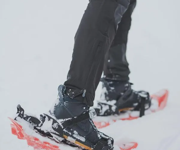 Σαλέ Koca Bistra - Velika Planina Stahovica