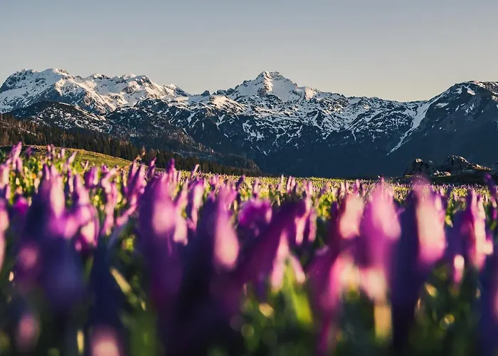 Σαλέ Koca Bistra - Velika Planina