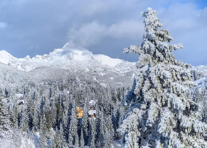 Koca Bistra - Velika Planina * Stahovica