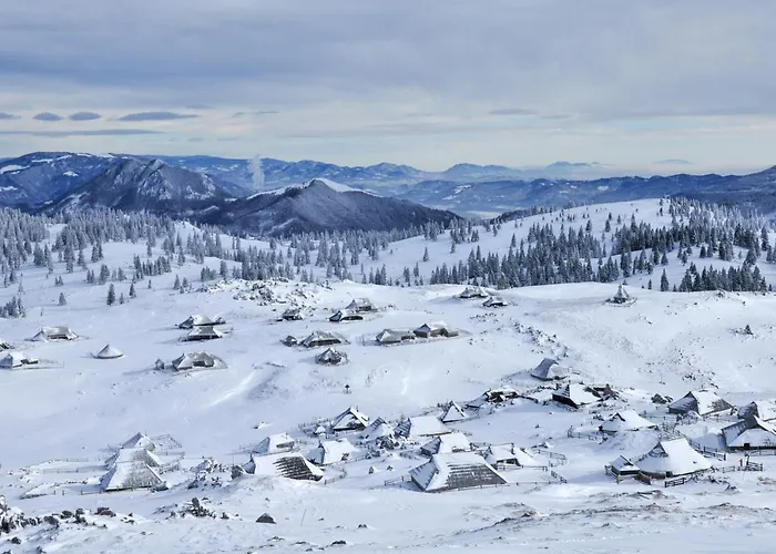 Koca Bistra - Velika Planina Horská chata *