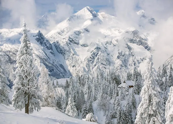 Koca Bistra - Velika Planina Horská chata Stahovica
